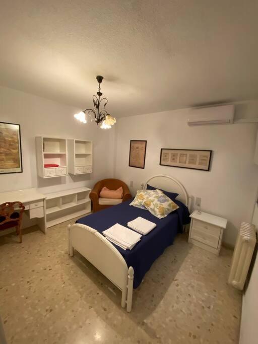 Apartament Piso En El Centro De Granada. Parking Opcional Zewnętrze zdjęcie